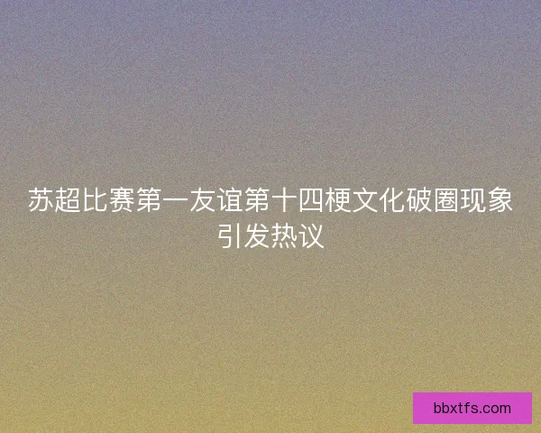 苏超比赛第一友谊第十四梗文化破圈现象引发热议